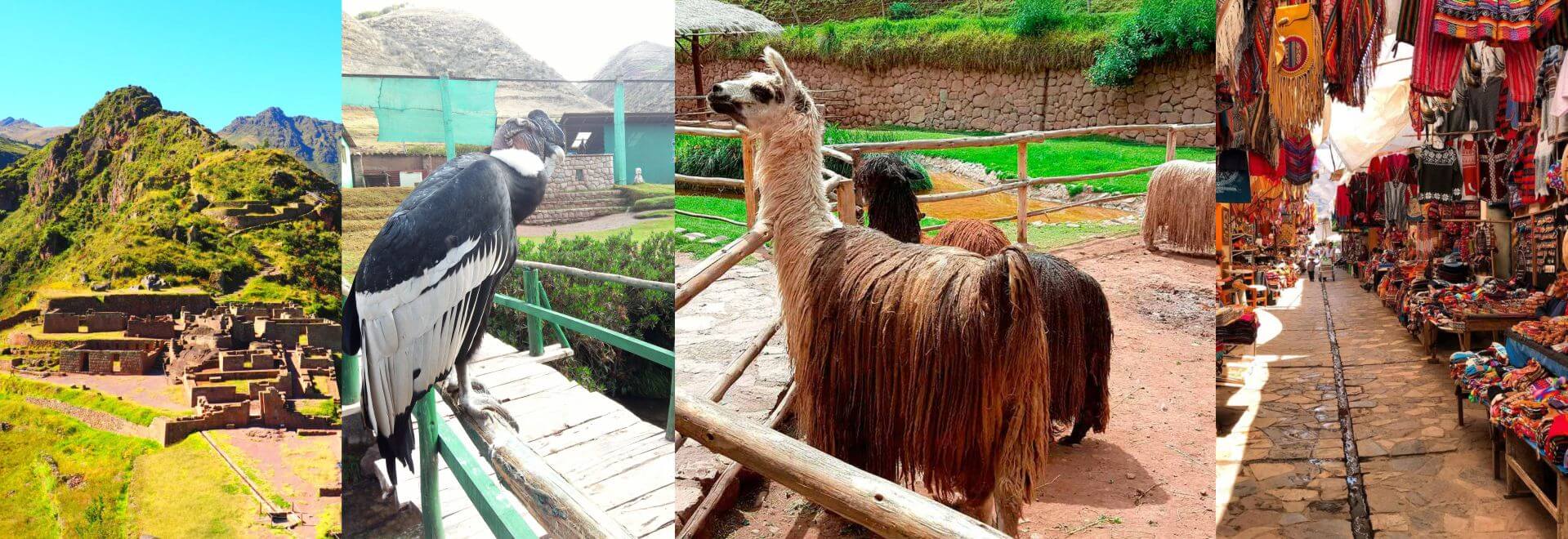 pisac, animal santuary